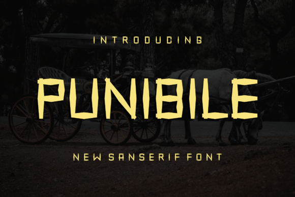 Punibile: A Modern Display Font for Stylish Branding